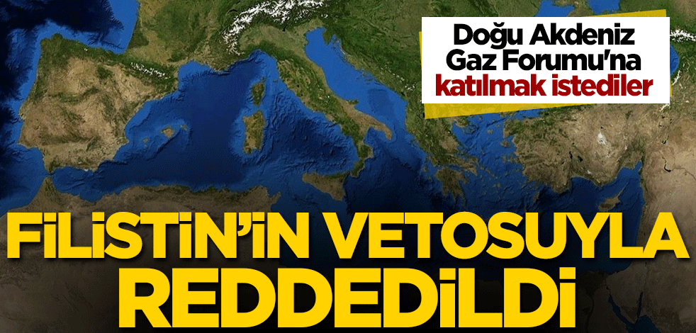 Doğu Akdeniz Gaz Forumu'na katılmak istediler! Filistin'in vetosuyla reddedildi