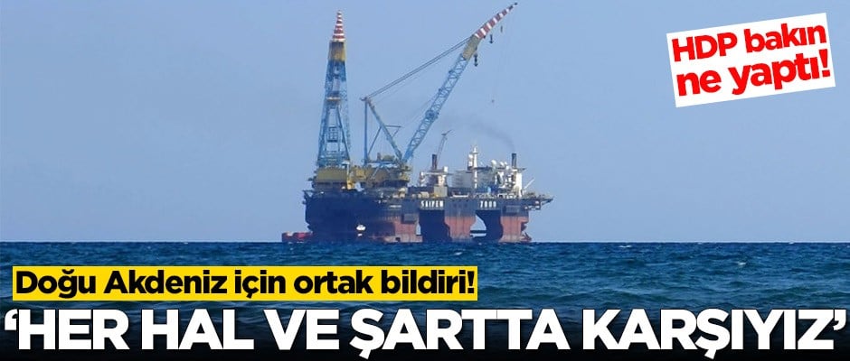 Doğu Akdeniz için ortak bildiri! HDP bakın ne yaptı