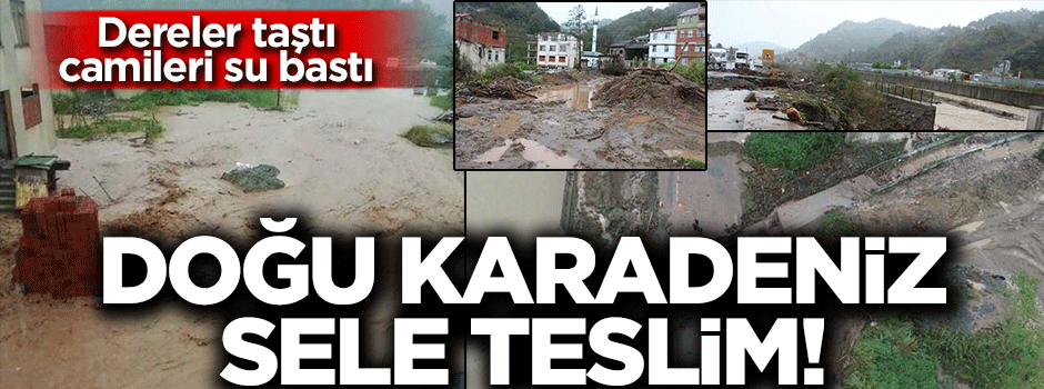 Doğu Karadeniz sele teslim!