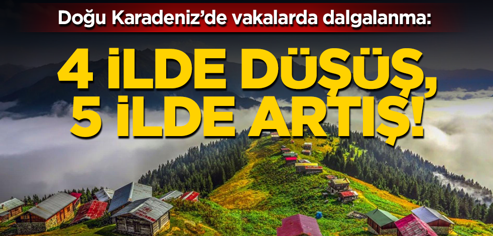 Doğu Karadeniz'de vakalarda dalgalanma; 4 ilde düşüş, 5 ilde artış
