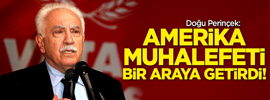 Doğu Perinçek: Amerika muhalefeti bir araya getirdi!
