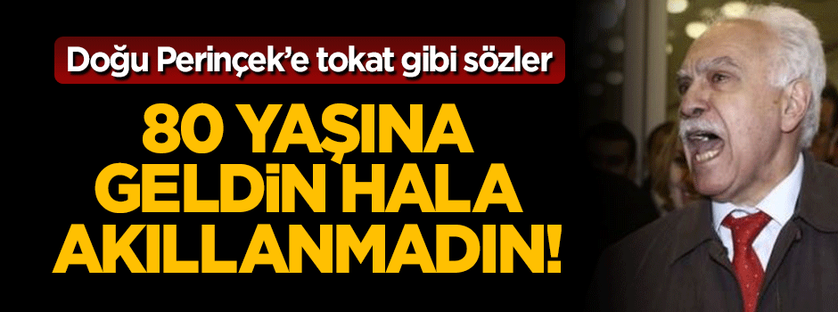 Doğu Perinçek'e tokat gibi sözler: 80 yaşına geldin hala akıllanmadın