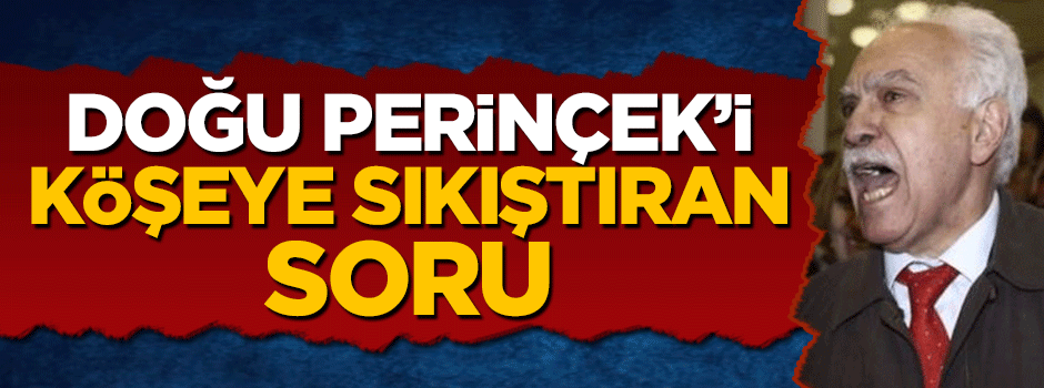 Doğu Perinçek'i zorlayan soru: Yüzde 0.3 oyla mı?