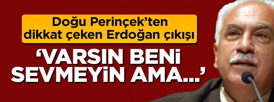Doğu Perinçek'ten 'Erdoğan' çıkışı: Varsın beni sevmeyin ama...
