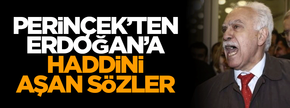 Doğu Perinçek'ten Erdoğan'a haddini aşan sözler
