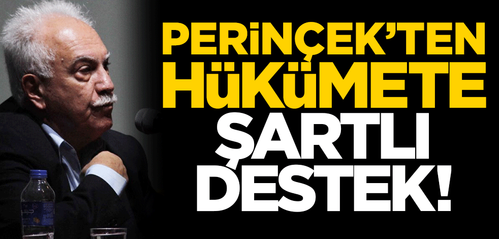 Doğu Perinçek’ten hükümete 'şartlı' destek!