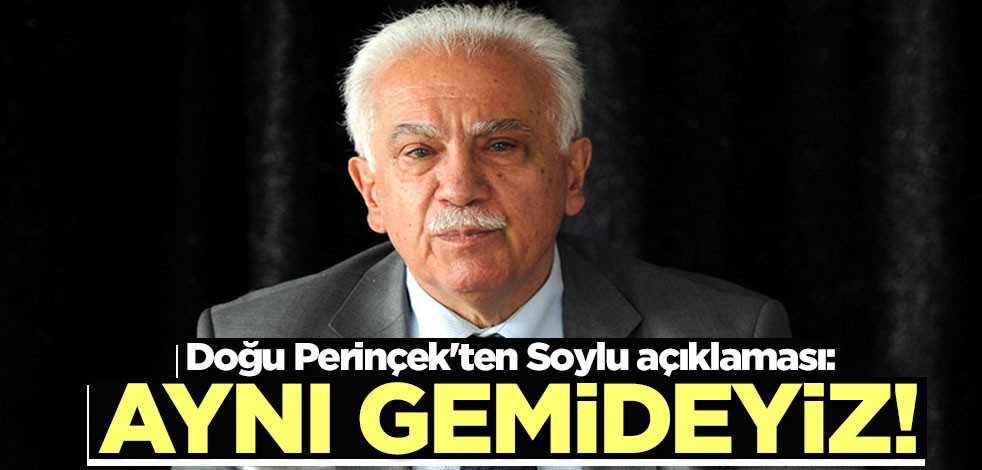 Doğu Perinçek'ten Soylu açıklaması: Aynı gemideyiz!
