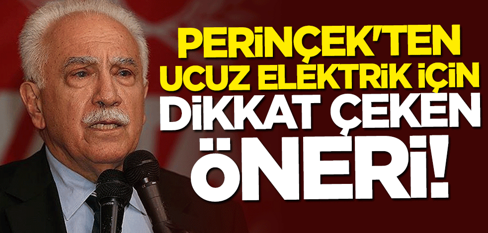 Doğu Perinçek'ten ucuz elektrik için dikkat çeken öneri