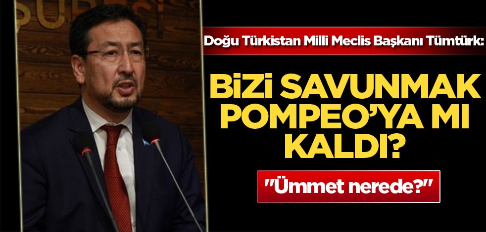 Doğu Türkistan Milli Meclis Başkanı Tümtürk: "Bizi savunmak Pompeo'ya mı kaldı?"