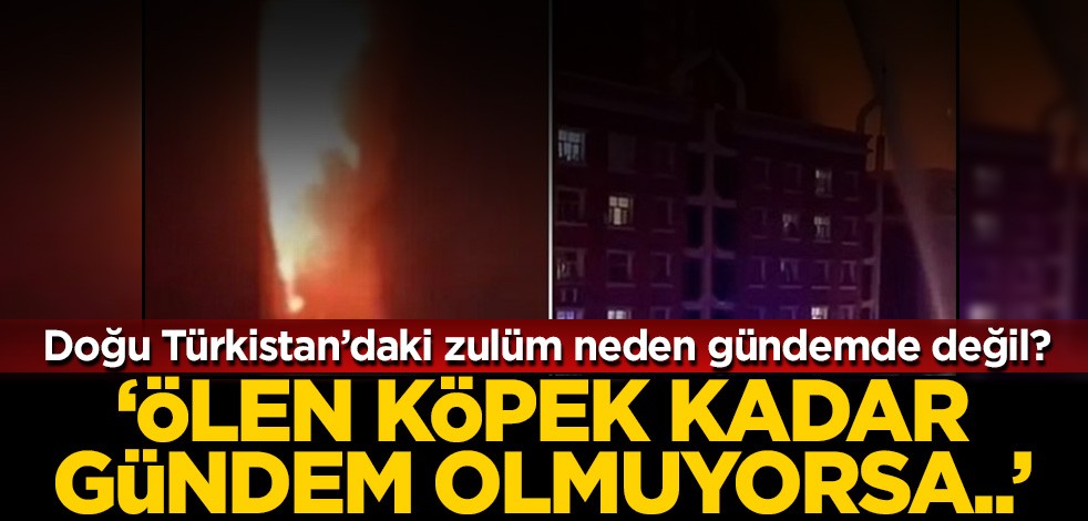 Doğu Türkistan'daki zulüm neden gündemde değil? "Ölen köpekler kadar gündem olmuyorsa..."