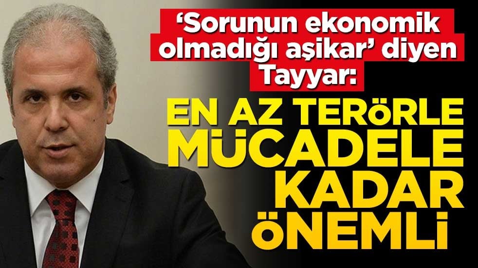 Doğum oranları neden düştü? ‘Sebebi ekonomik sorunlar değil’ diyen Şamil Tayyar’dan dikkat çeken yorum