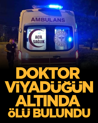 Doktor viyadüğün altında ölü bulundu