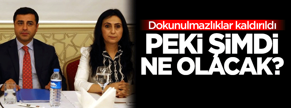 Dokunulmazlıklar kaldırıldı, şimdi ne olacak?