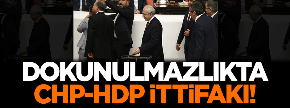 Dokunulmazlıkta CHP-HDP ittifakı gözler önüne serildi