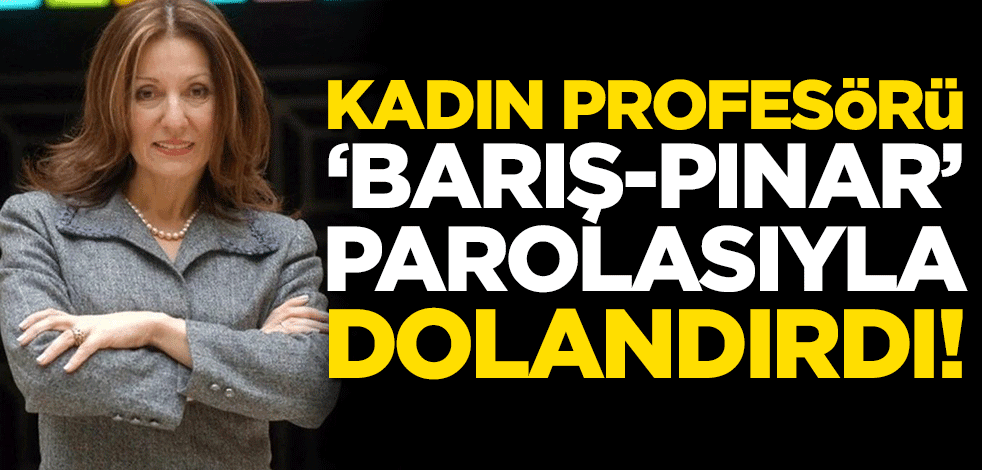 Dolandırıcılar kadın profesörü 'Barış-Pınar' parolasıyla dolandırdı!