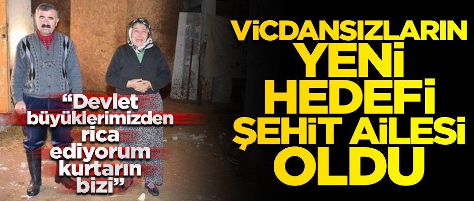Vicdansızların hedefi olan şehit ailesi yardım bekliyor "Devlet büyüklerimizden rica ediyorum, kurtarın bizi"