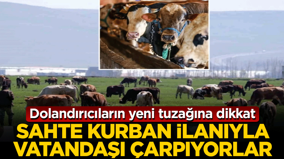 Dolandırıcıların yeni tuzağına dikkat! Sahte kurban ilanıyla vatandaşı çarpıyorlar