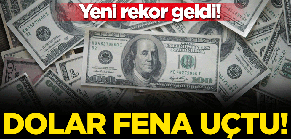 Dolar 11 liraya dayandı! İşte son durum