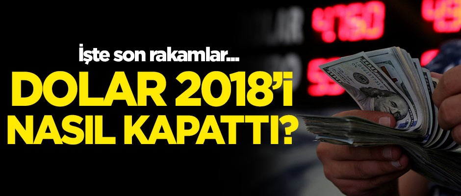 Dolar 2018'i nasıl kapattı? İşte son rakamlar...