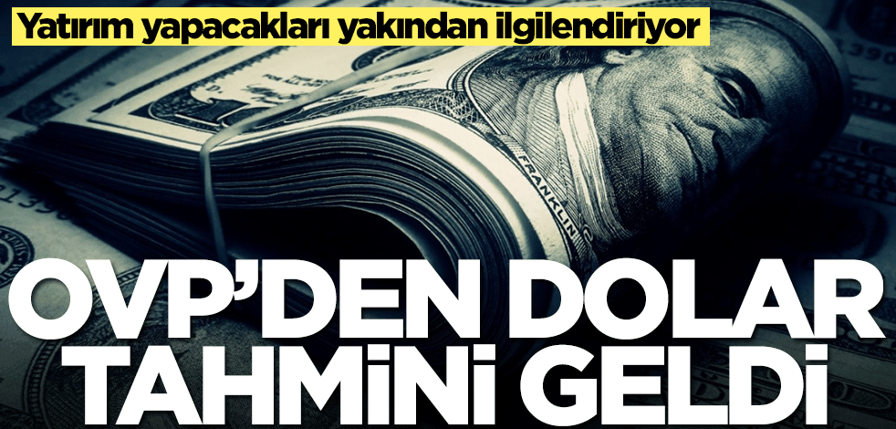 Dolar alacaklar dikkat! OVP'den tahmin geldi