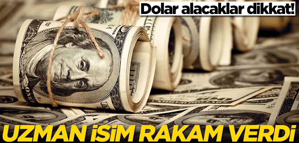 Dolar alacaklar dikkat!! Uzman isim doların geleceği seviyeyi açıkladı