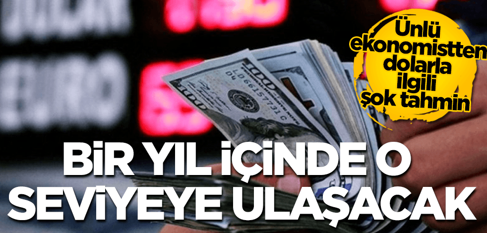 Dolar, bir yıl içinde o seviyeye ulaşacak