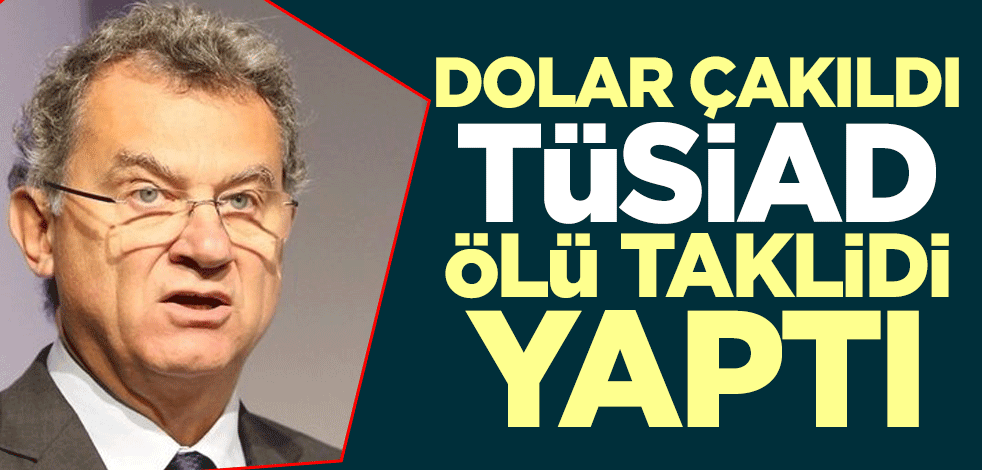 Dolar çakıldı, TÜSİAD ölü taklidi yaptı