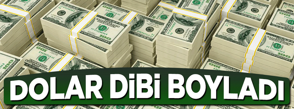 Dolar dibi boyladı! Yılın en düşük seviyesine indi
