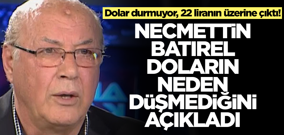 Dolar durmuyor, 22 liranın üzerine çıktı! Necmettin Batırel doların neden düşmediğini açıkladı