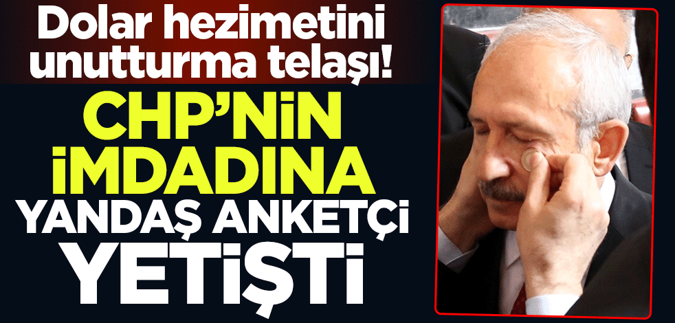 Dolar hezimetini unutturma telaşı! CHP'nin imdadına yandaş anketçi yetişti