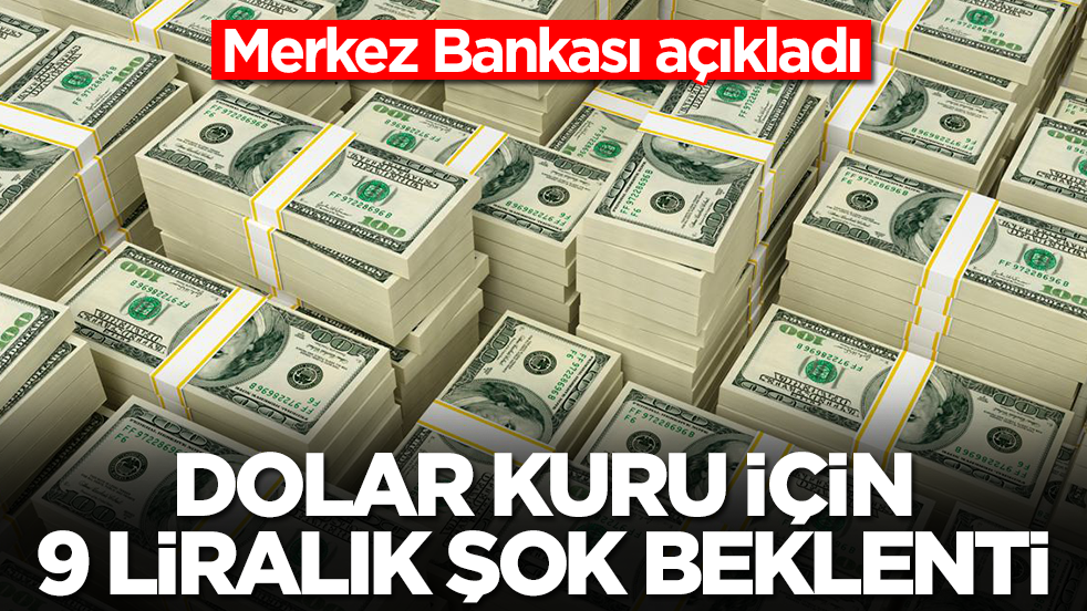 Dolar kuru için 9 liralık şok beklenti: Merkez Bankası açıkladı