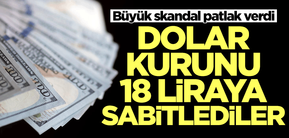 Dolar kurunu 18 liraya sabitlediler! Büyük skandal patlak verdi