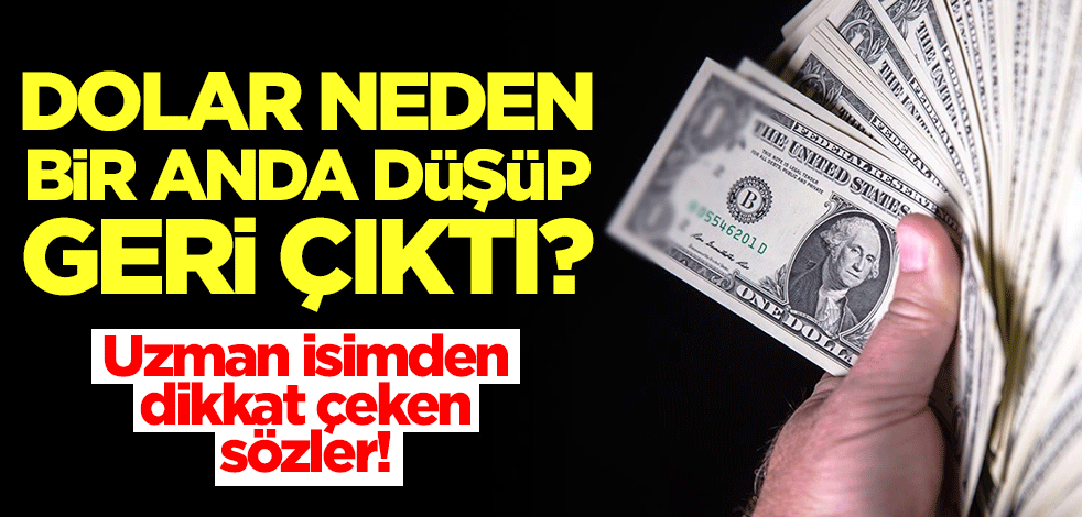 Dolar neden bir anda düşüp geri çıktı? Uzman isim açıkladı