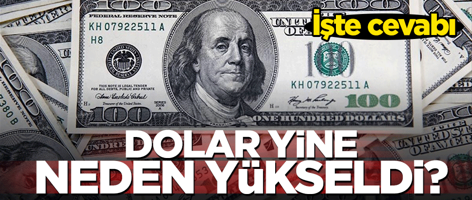 Dolar neden yükseldi? İşte nedeni