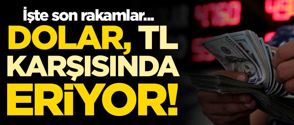 Dolar, TL karşısında eriyor! İşte son rakamlar