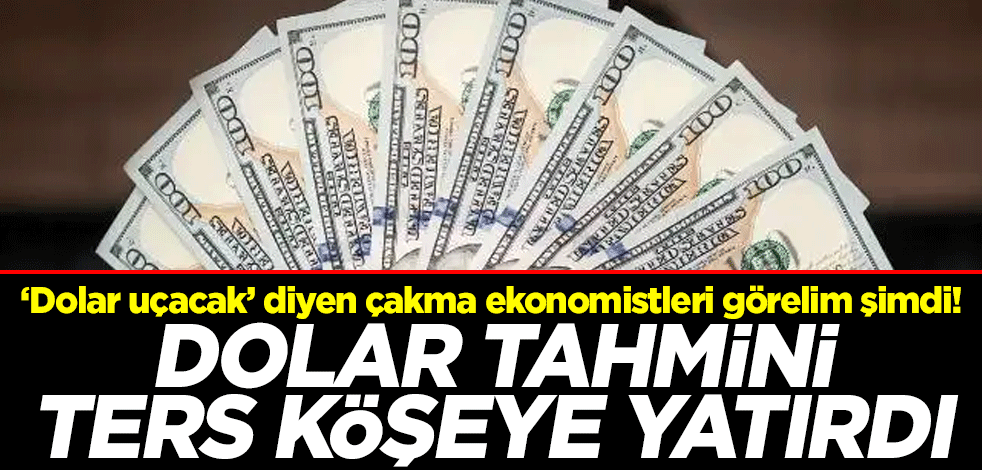 ‘Dolar uçacak’ diyen çakma ekonomistleri görelim şimdi! Dolar tahmini ters köşeye yatırdı