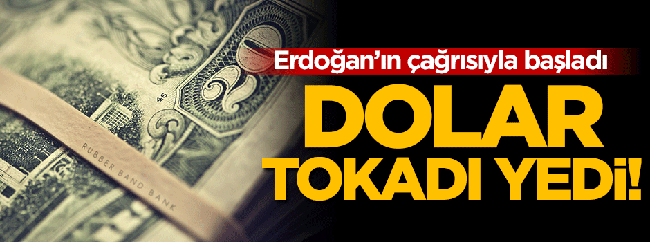 Dolar ve euro çakıldı!