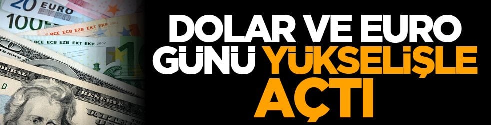 Dolar ve euro günü yükselişle açtı