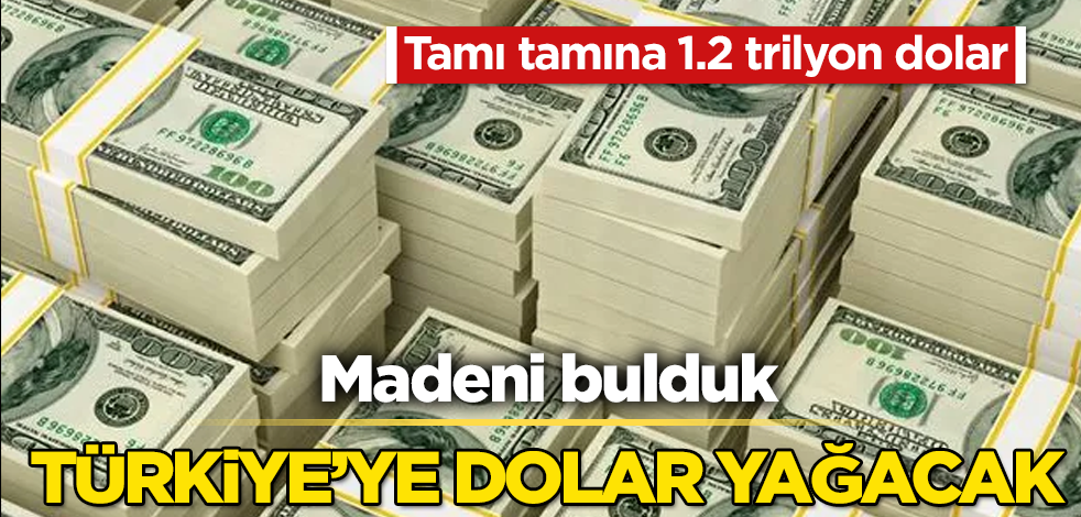 Dolar yağacak! Türkiye madeni buldu! Tamı tamına 1.2 trilyon dolar