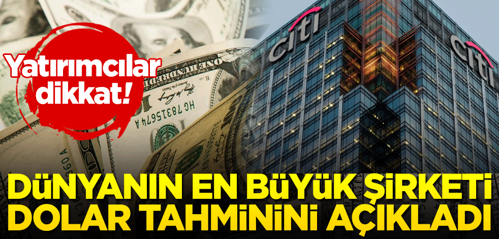 Dolar yatırımcısı dikkat! Dünyanın en büyük şirketi dolar tahminini açıkladı
