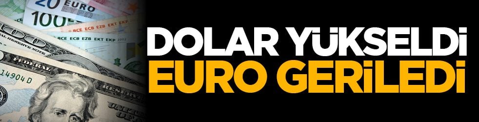 Dolar yükseldi, Euro geriledi