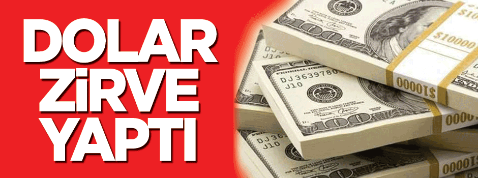 Dolar zirve yaptı