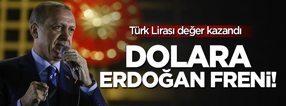 Dolara Erdoğan freni!