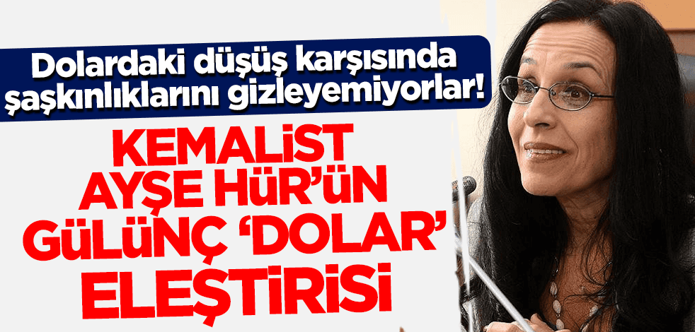 Dolardaki düşüş karşısında şaşkınlıklarını gizleyemiyorlar! Ayşe Hür'ün gülünç dolar eleştirisi