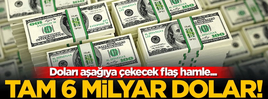 Doları aşağı çekecek 6 milyar dolarlık hamle!