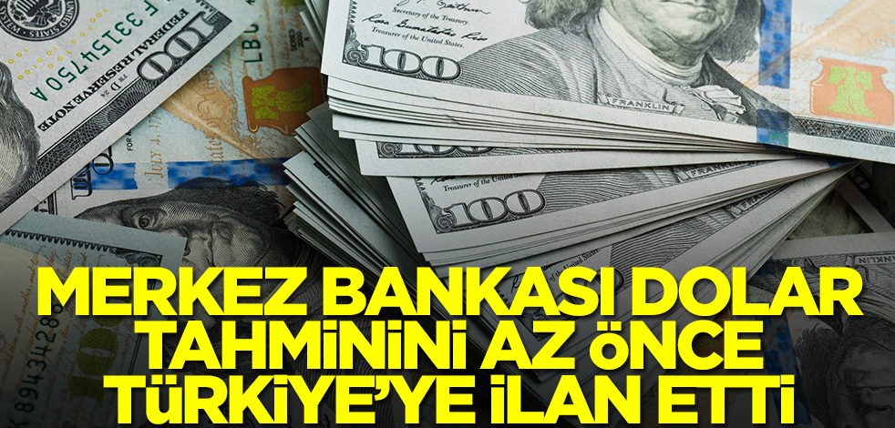 Doları olanlar aman dikkat! Merkez Bankası döviz tahminini az önce Türkiye'ye ilan etti: 3 ay sonra...