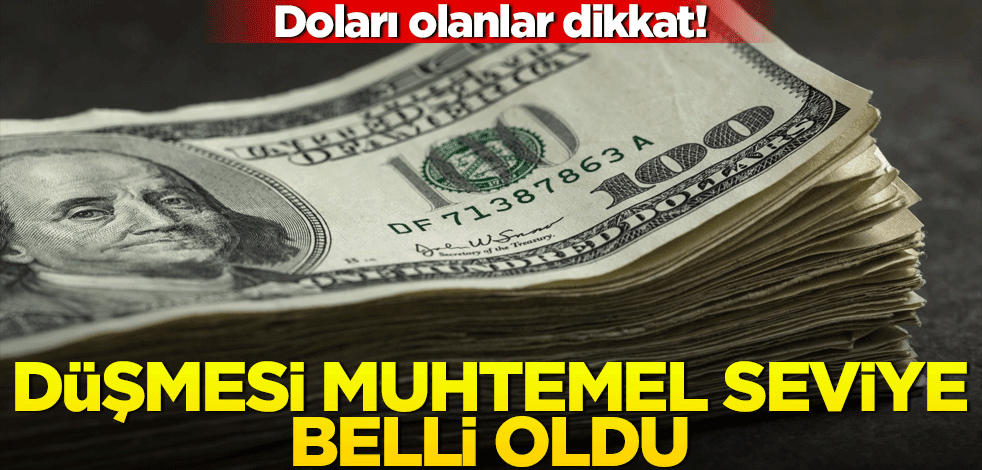 Doları olanlar dikkat! Düşmesi muhtemel seviye açıklandı