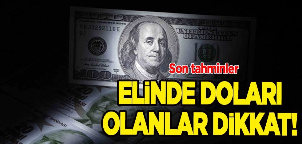 Doları olanlar dikkat! Ekonomistler acil çağrı yaptı: Doları olan bunu yapsın! Dolar kuru tahmini, senaryo