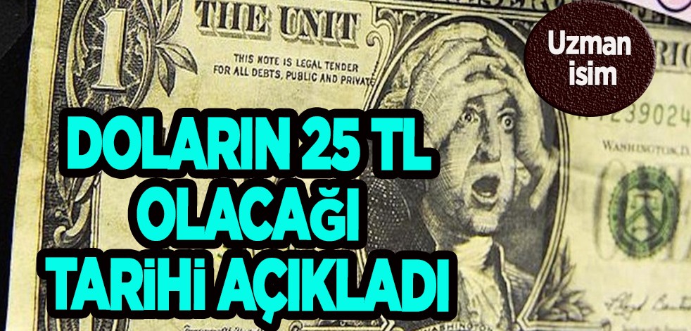 Doları olanlar, uzman tahmini: O tarihte 25 TL olacak, zıplama olabilir! Dikkat çeken 'Türkiye' açıklaması