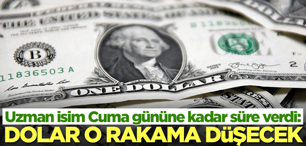 Doları olanlara çok kritik uyarı! Uzman isim Cuma gününe kadar süre verdi: Dolar o rakama düşecek